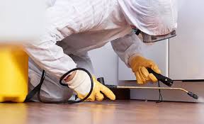 Professional Pest control in Sandy, OR